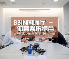 研发能力标题二